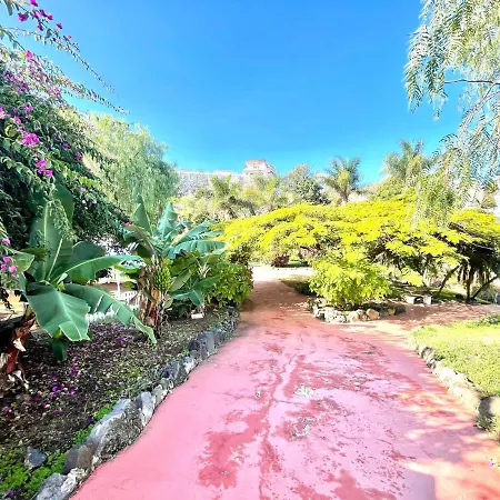 Estudio Superior Con Grande Jardin, Wifi, Piscinas, Playa En Puerto De La Cruz
