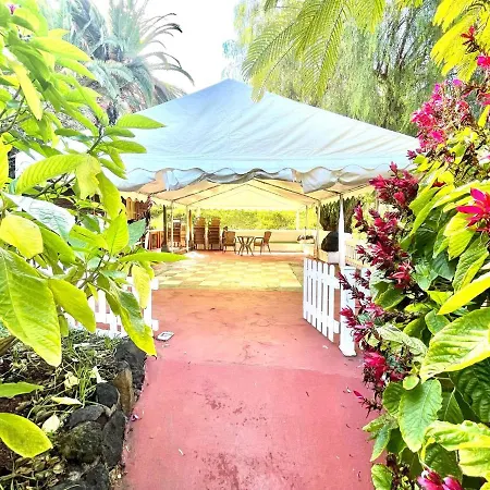 アパート Estudio Superior Con Grande Jardin, Wifi, Piscinas, Playa En Puerto De La Cruz *