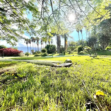 Estudio Superior Con Grande Jardin, Wifi, Piscinas, Playa En Puerto De La Cruz * プエルト・デ・ラ・クルス