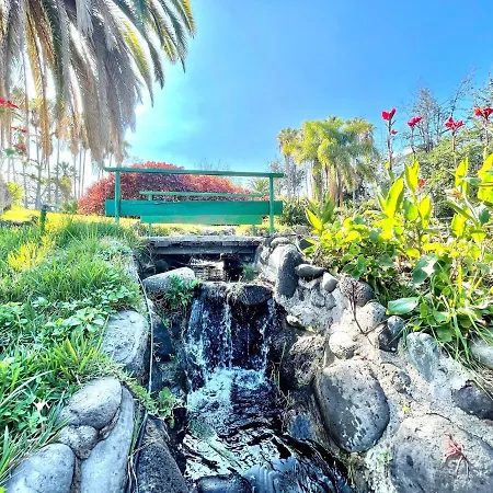 Estudio superior con grande jardín, wifi, piscinas, playa en Puerto de la Cruz Apartamento *