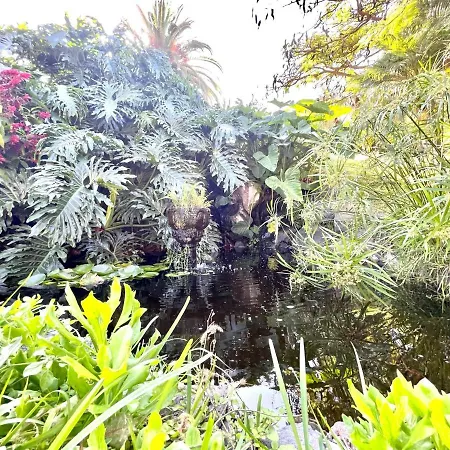 Estudio Superior Con Grande Jardin, Wifi, Piscinas, Playa En Puerto De La Cruz * Puerto de la Cruz (Tenerife)