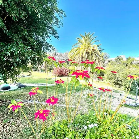 Estudio Superior Con Grande Jardin, Wifi, Piscinas, Playa En Puerto De La Cruz Apartman