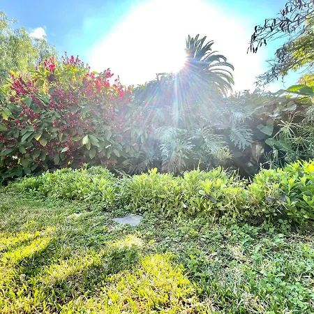 Apartmán Estudio Superior Con Grande Jardin, Wifi, Piscinas, Playa En Puerto De La Cruz